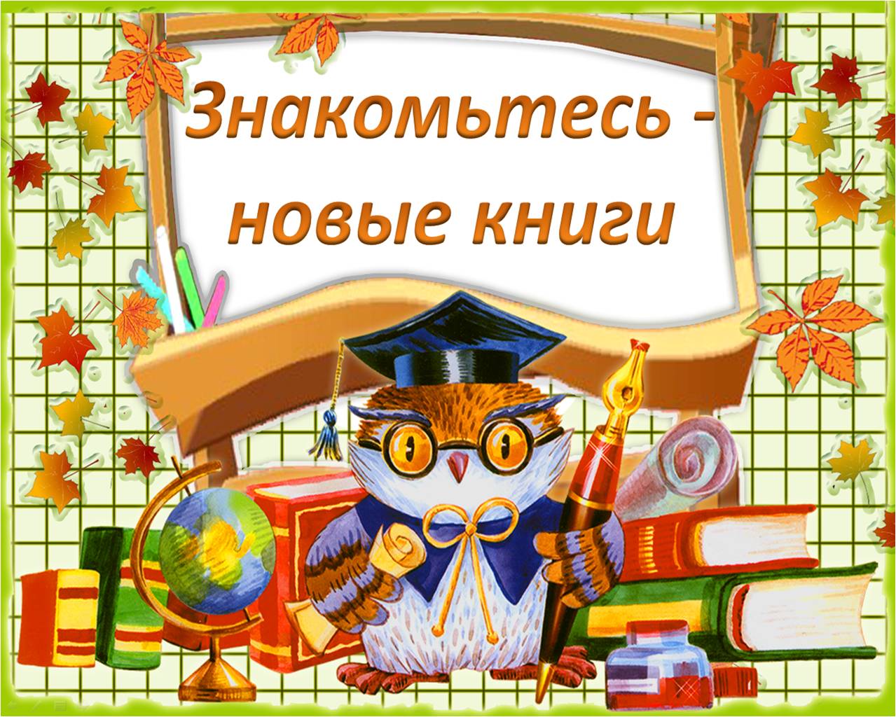 Библиотека Библиотека
